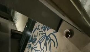 酒店门口啪啪太刺激了