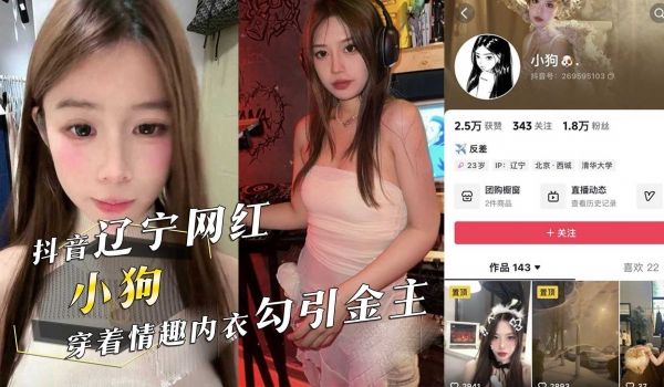 抖音辽宁网红反差婊『小狗』主动开房，穿着情趣内衣