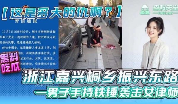 浙江嘉兴桐乡振兴东路，一男子持铁锤袭击女律师