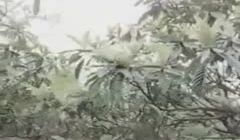 极品淫娃户外口交 啪啪大秀+床上调情操B大秀