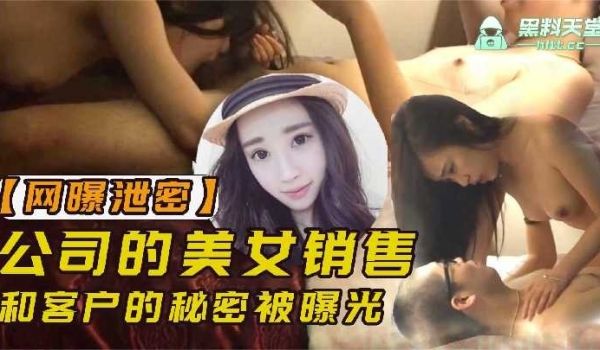 公司的美女销售和客户的秘密被曝光