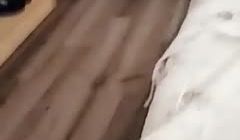 【在线】清纯小美眉公园搭讪玩手游小哥到小旅馆啪啪