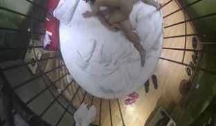 一对年轻情侣在笼子里啪啪