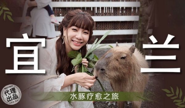 麻豆传媒 MM-078 宜兰水豚疗愈之旅-吴梦梦