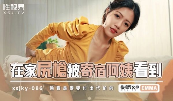 起点传媒 性视界传媒 XSJKY086 在家尻枪