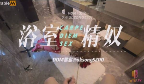 糖心Vlog 束缚捆绑浴厕调教精奴 塞着肛塞被操