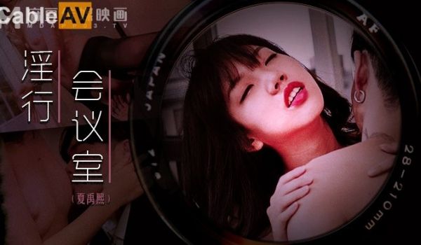 麻豆狗仔 MDWP-0023《 淫行会议室》下班