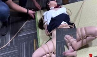 蛇精病-女学生的BT游戏
