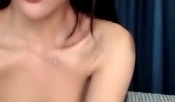 热爱哈龟的美少女