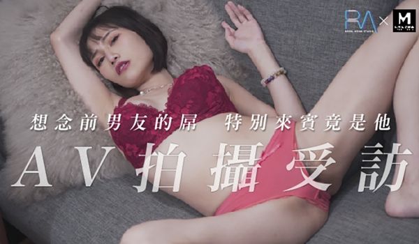 想念前男友的鸟