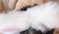 313
