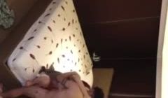 新娘和姐夫偷情后续