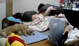 老公睡醒了起身抚摸还在睡梦中的媳妇扒掉内裤又舔又
