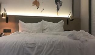 极品大胸，水蜜桃一般又大又挺，这对好乳就值了，很