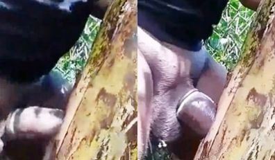 国外壮男真牛逼树上挖个洞就开始操了