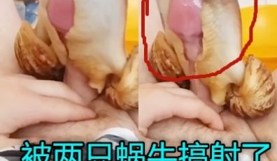 变态男海边日蜗牛奇葩关键是还能射