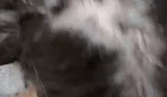 〖淫姐〗16教师姐姐在上课时用跳蛋调教姐姐随后爆