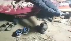 媳妇与外公