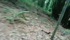 【淫乱人妻】淫妻【成都夫人】多名单男群P淫妻前后
