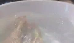 奶牛浓浓2-25