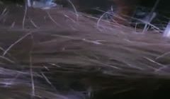 音乐才女， 【累啊累啊累啊】，原来的恩惠，几十万