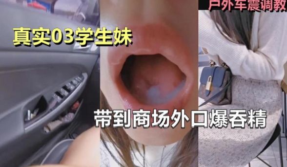 调教03学生妹，带到商场外口爆吞精，外面人来车往