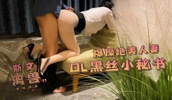 黑白双丝高跟无套巨乳长腿秘书
