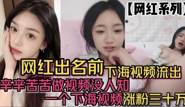 网红出名前下海视频流出