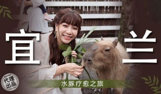 MM-078 宜兰水豚疗愈之旅