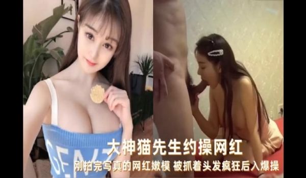 大神猫先生调教极品高颜值骚逼网红母狗操逼视频流出