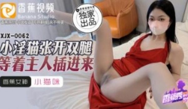 小淫猫强张开双腿等着主人插进来