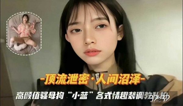 高颜值骚母狗小蓝各式情趣装调教私拍2