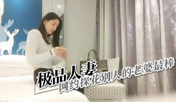极品人妻，网约探花别人的老婆最棒