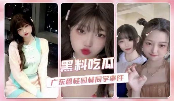 广东碧桂园林同学事件