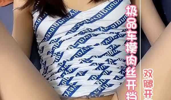 极品车模肉丝开挡 双腿开开随便插