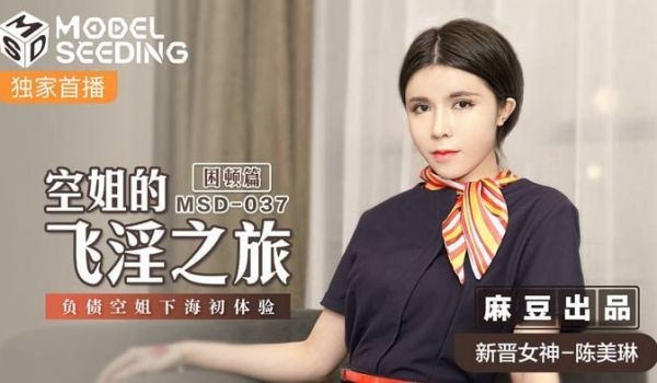 空姐的飞淫之旅-困顿篇 负债空姐下海初体验