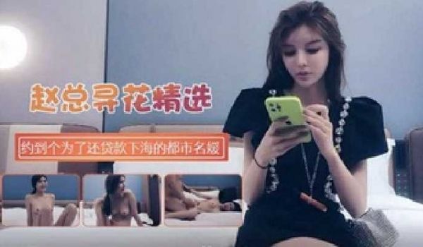 赵总寻花-约到个为了还贷款下海的都市名媛