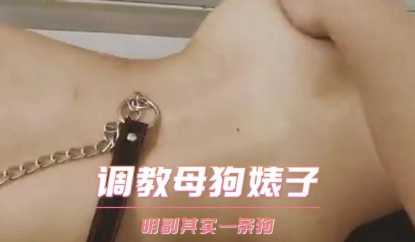调教母狗婊子 明副其实一条狗