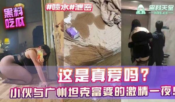 小伙与广州坦克富婆的激情一夜