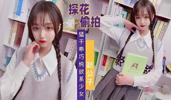 赵公子探花-猛干乖巧纯欲系少女