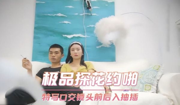 极品探花约啪-特写口交镜头前后入抽插