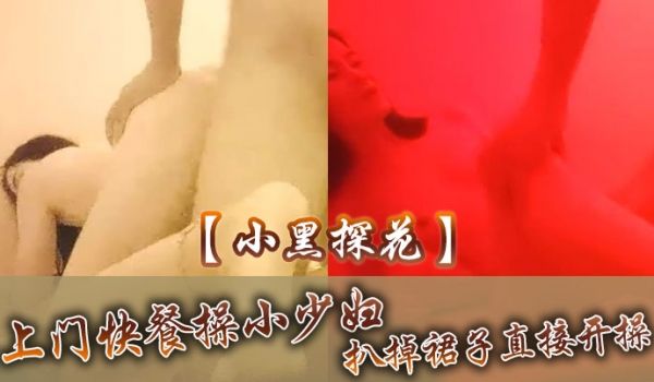 小黑探花上门快餐操小少妇扒掉裙子直接开操扶着屁股