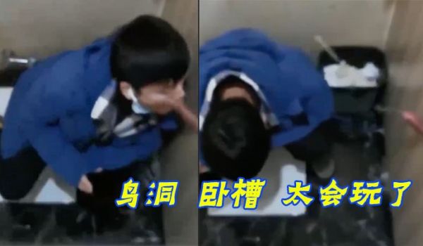 鸟洞卧槽太会玩了
