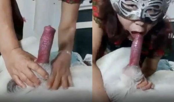 国产人兽老女人是爱狗人士看到大鸡巴受不了