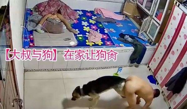 大叔与狗在家让狗肏还被拖着走