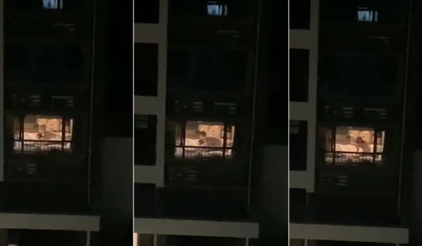 20208170784用户上传大学情侣正操得高潮