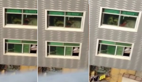20208463735用户上传无意中拍到了不该拍