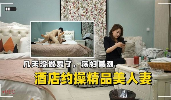 酒店约操精品美人妻几天没做爱了荡妇高潮