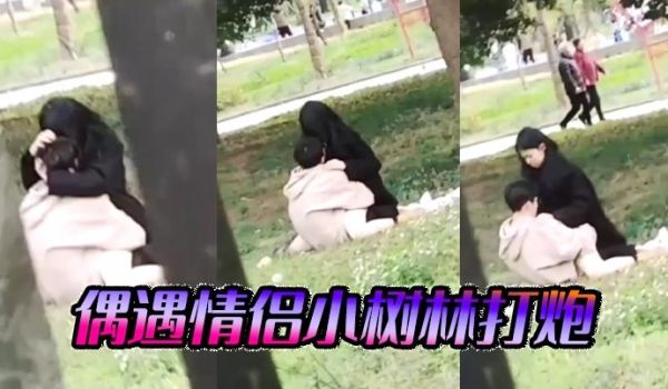 偶遇情侣小树林打炮
