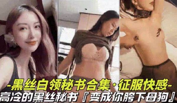 黑丝白领秘书大合集高冷黑丝秘书变成胯下母狗视觉上